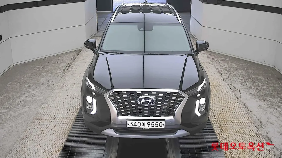 2020 Hyundai Palisade, VIN KMHR281ABLU096684