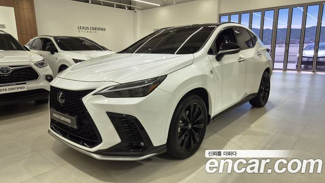2025 Lexus NX, VIN JTJKKAFZ1S2049534