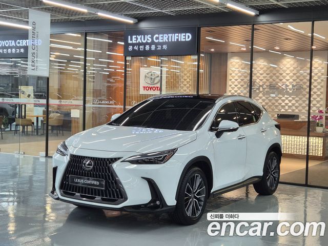 2026 Lexus NX, VIN JTJHKAEZ2T2076027