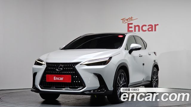 2024 Lexus NX, VIN JTJHKAEZ4R2018641