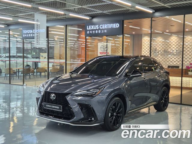 2025 Lexus NX, VIN JTJKKAFZ2S2061319