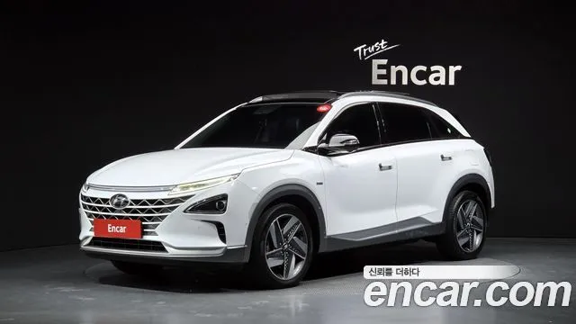 2020 Hyundai Nexo, VIN KMHJ8816FLU004609
