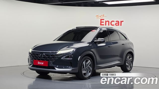 2021 Hyundai Nexo, VIN KMHJ8816FMU010600