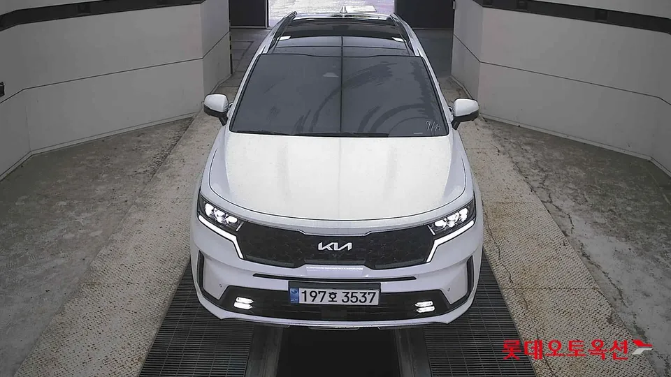 2023 Kia Sorento, VIN KNARF81FHPA173021
