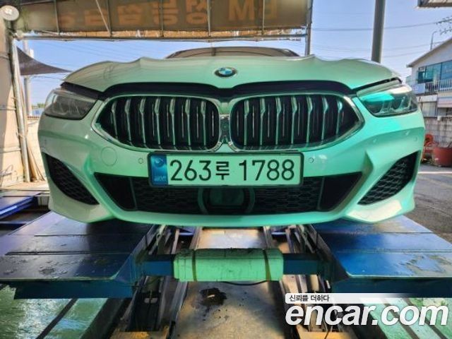 2021 BMW 8-Series, VIN WBAGW010XMCG46274