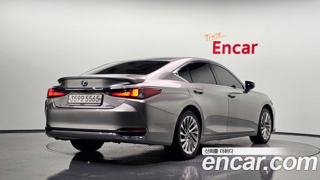2020 Lexus ES, VIN JTHB21B10L2094953