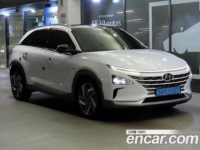 2020 Hyundai Nexo, VIN KMHUBB1BFLU0D7205