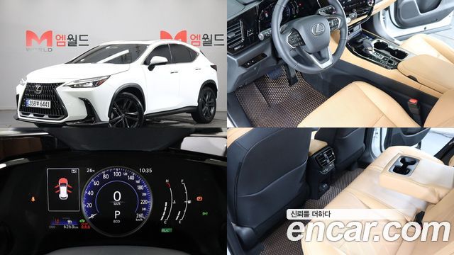 2026 Lexus NX, VIN JTJGKAEZ4T2076381